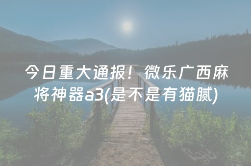 今日重大通报！微乐广西麻将神器a3(是不是有猫腻)