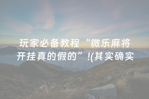 玩家必备教程“微乐麻将开挂真的假的”!(其实确实有挂)-抖音