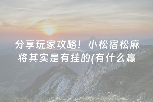 分享玩家攻略！小松宿松麻将其实是有挂的(有什么赢的技巧)