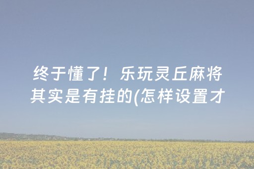 终于懂了！乐玩灵丘麻将其实是有挂的(怎样设置才容易赢)