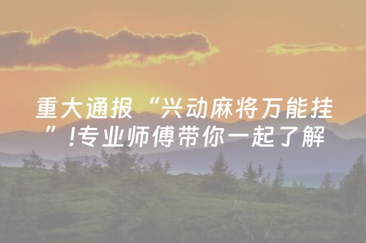 重大通报“兴动麻将万能挂”!专业师傅带你一起了解（详细教程）-抖音