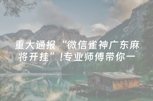 重大通报“微信雀神广东麻将开挂”!专业师傅带你一起了解（详细教程）-抖音