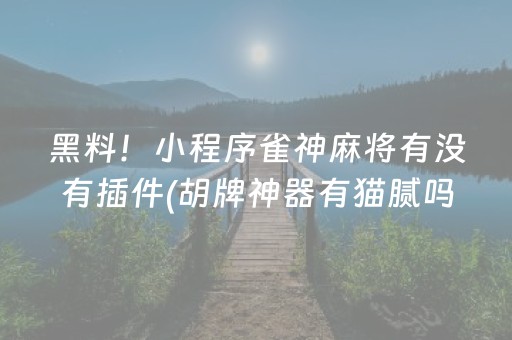 黑料！小程序雀神麻将有没有插件(胡牌神器有猫腻吗)