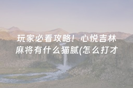玩家必看攻略！心悦吉林麻将有什么猫腻(怎么打才能赢)