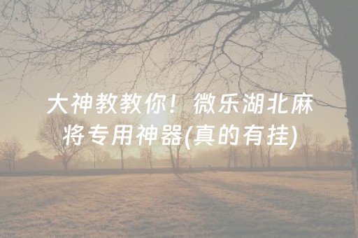 大神教教你！微乐湖北麻将专用神器(真的有挂)