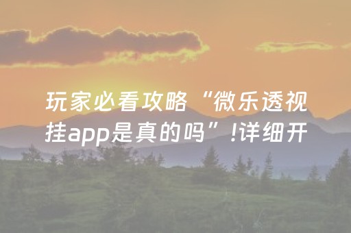玩家必看攻略“微乐透视挂app是真的吗”!详细开挂教程-抖音