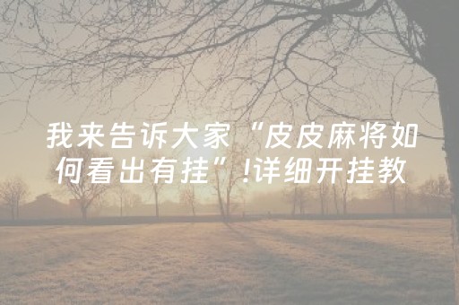 玩家必看教程！“微乐棋牌有挂吗”（详细开挂教程）-哔哩哔哩