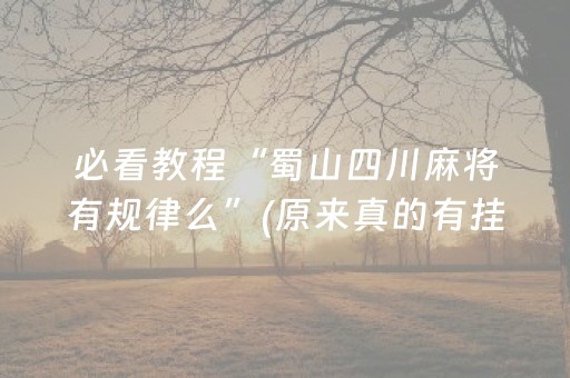 必看教程“蜀山四川麻将有规律么”(原来真的有挂)-抖音