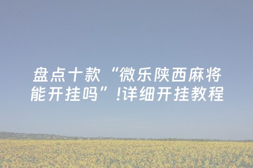 实测分享“大头十三水刷好牌”（详细透视教程）-哔哩哔哩