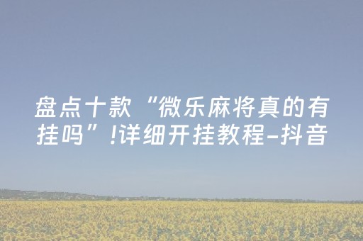 盘点十款“微乐麻将真的有挂吗”!详细开挂教程-抖音