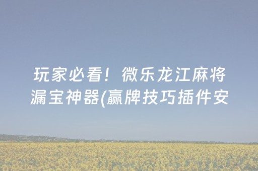 玩家必看！微乐龙江麻将漏宝神器(赢牌技巧插件安装)