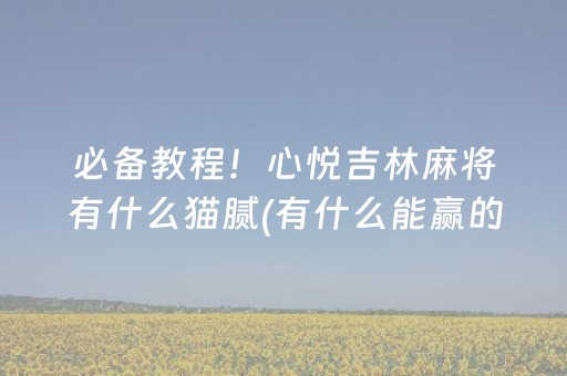 必备教程！心悦吉林麻将有什么猫腻(有什么能赢的方法)