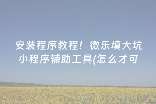安装程序教程！微乐填大坑小程序辅助工具(怎么才可以赢)