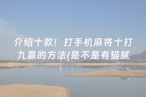 介绍十款！打手机麻将十打九赢的方法(是不是有猫腻)