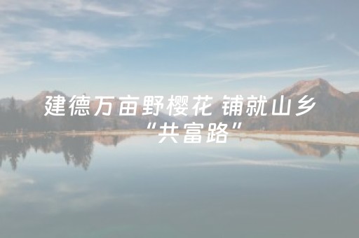 实测分析“微信微乐小程序免费黑科技”（详细辅助教程）-哔哩哔哩