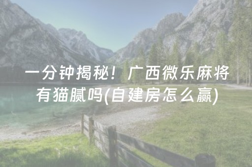一分钟揭秘！广西微乐麻将有猫腻吗(自建房怎么赢)