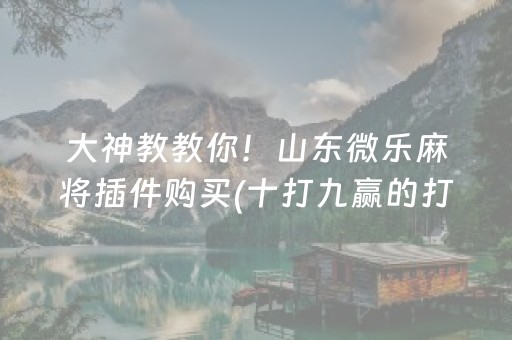 大神教教你！山东微乐麻将插件购买(十打九赢的打法)