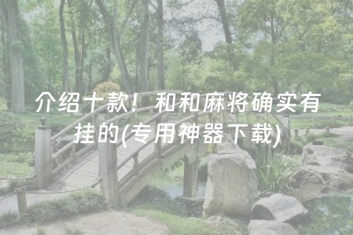 介绍十款！和和麻将确实有挂的(专用神器下载)