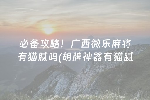 必备攻略！广西微乐麻将有猫腻吗(胡牌神器有猫腻吗)
