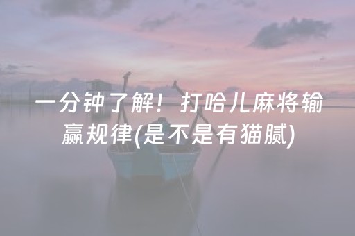 一分钟了解！打哈儿麻将输赢规律(是不是有猫腻)