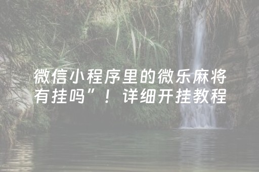 微信小程序里的微乐麻将有挂吗”！详细开挂教程（确实真的有挂)-抖音