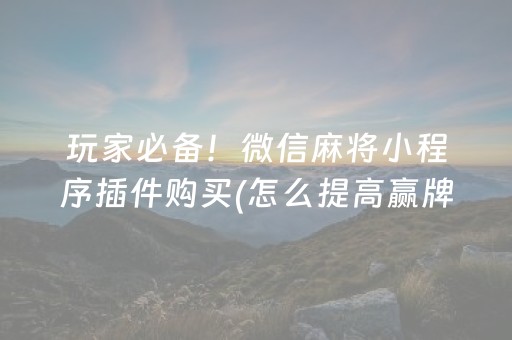 玩家必备！微信麻将小程序插件购买(怎么提高赢牌率)