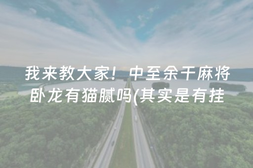 我来教大家！中至余干麻将卧龙有猫腻吗(其实是有挂的)
