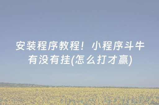 安装程序教程！小程序斗牛有没有挂(怎么打才赢)