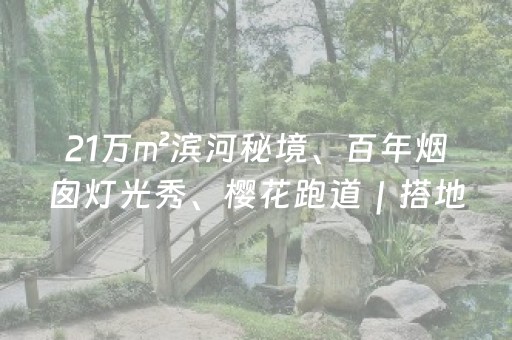 实测辅助“决胜麻将胡牌神器”（详细透视教程）-哔哩哔哩