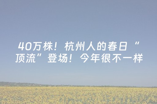 玩家必备攻略“微信小程序双扣神器怎么提高胜率”（透明挂辅助器)