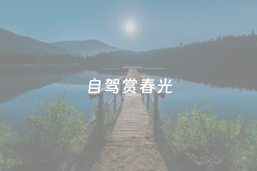 分享辅助“闲逸碰胡辅助器（助赢神器通用版）