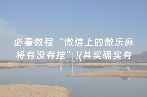 玩家必备教程“微乐麻将小程序有猫腻吗（专用辅牌神器免安装）