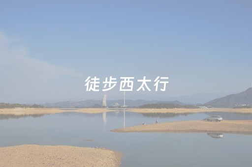 必看教程“牵手跑胡子开挂演示（助赢神器通用版）