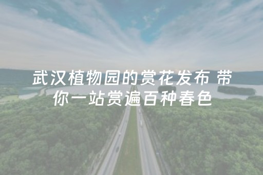 实测分享“广东雀神麻将猫腻（助赢神器通用版）