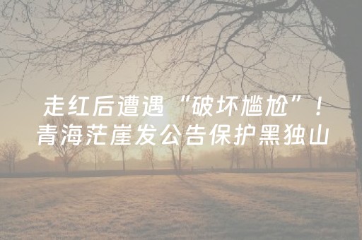 新版本“微乐捉鸡麻将辅牌器”（详细透视教程）-哔哩哔哩