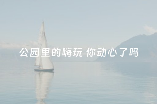 公园里的嗨玩 你动心了吗