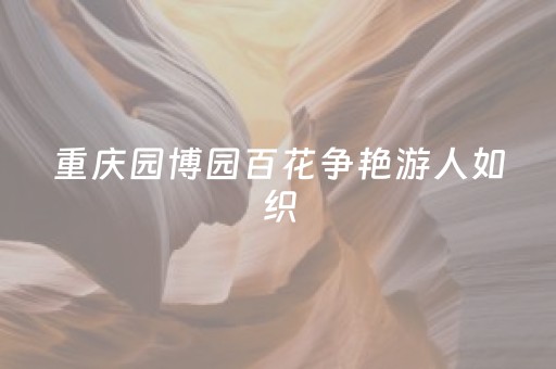 分享辅助“麻将万能摇空器（专用辅牌神器免安装）