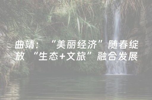 实测结果“麻将机真有无需安装解码器吗（专用辅牌神器免安装）