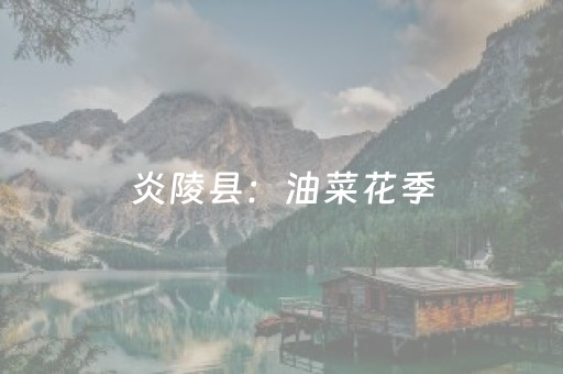 上海迪士尼2人一天花费（迪士尼乐园两个人两天花多少）
