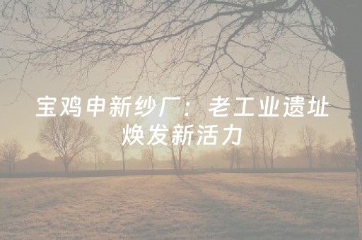石家庄景区有哪些景点（石家庄景区都有哪些景点）
