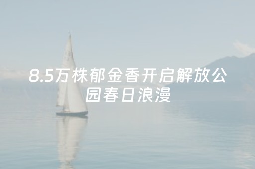 吉隆坡旅游攻略（吉隆坡旅游攻略必去景点推荐）
