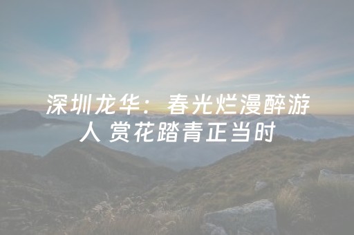 重庆金刀峡旅游攻略（重庆金刀峡旅游攻略自驾）