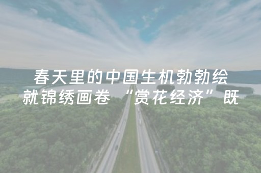 张家界旅游攻略自驾游（张家界 旅游攻略）