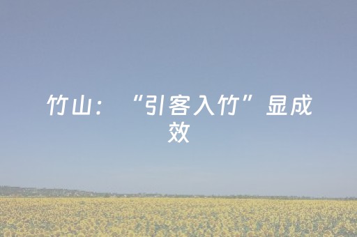 玩家必备教程“微乐广西麻将助赢神器”（详细透视教程）-哔哩哔哩