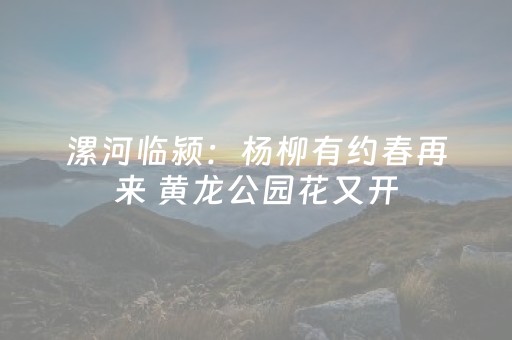 洛阳免费的33个景点（2025洛阳免费景区）