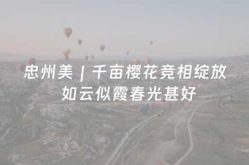 厦门攻略自由行及路线（厦门旅游攻略自驾行最佳线路）