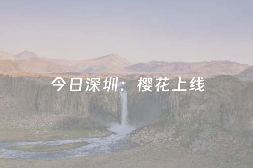 东北哪里适合旅游（东北哪里适合旅游）