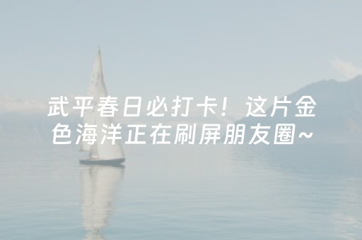 海南旅游景点大全（海南旅游景点大全携程）