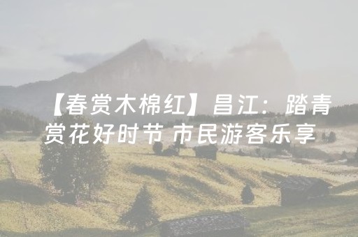 青岛旅游攻略三天游（青岛旅游攻略三日游）