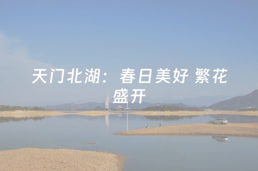 实测分享“程序麻将机上门安装（专用辅牌神器免安装）